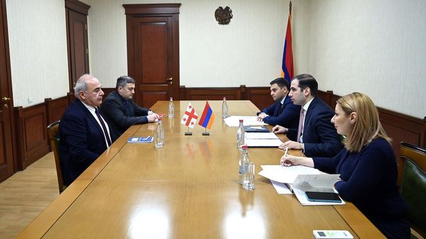 Председатель Комитета государственных доходов Эдуард Акопян принял Чрезвычайного и полномочного посла Грузии Георгия Шарвашидзе - Sputnik Армения