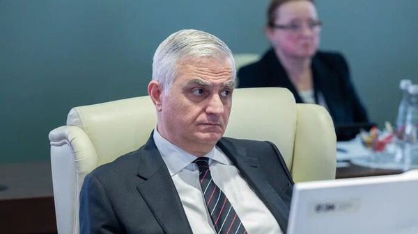 Вице-премьер Мгер Григорян на очередном заседании Совета Евразийской экономической комиссии (21 февраля 2025). Москвa - Sputnik Արմենիա