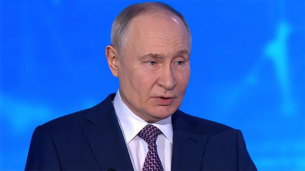 Վլադիմիր Պուտին - Sputnik Արմենիա