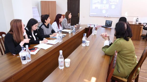 Онлайн-встреча между сотрудниками службы миграции и гражданства министерств внутренних дел РА и РФ - Sputnik Армения