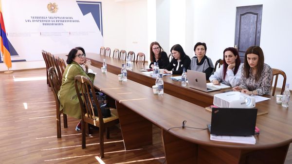 ՀՀ ՆԳՆ միգրացիայի և քաղաքացիական ծառայության աշխատակիցները առցանց քննարկման ժամանակ - Sputnik Արմենիա