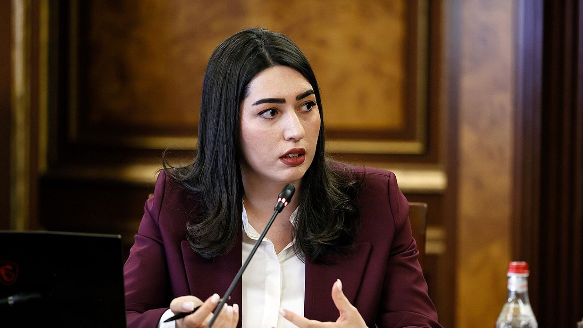 Совещание по стратегическому плану по борьбе с употреблением наркотиков и психотропных веществ в немедицинских целях и их незаконным оборотом на 2025-2027гг. (4 апреля 2025). Еревaн - Sputnik Армения, 1920, 16.04.2025