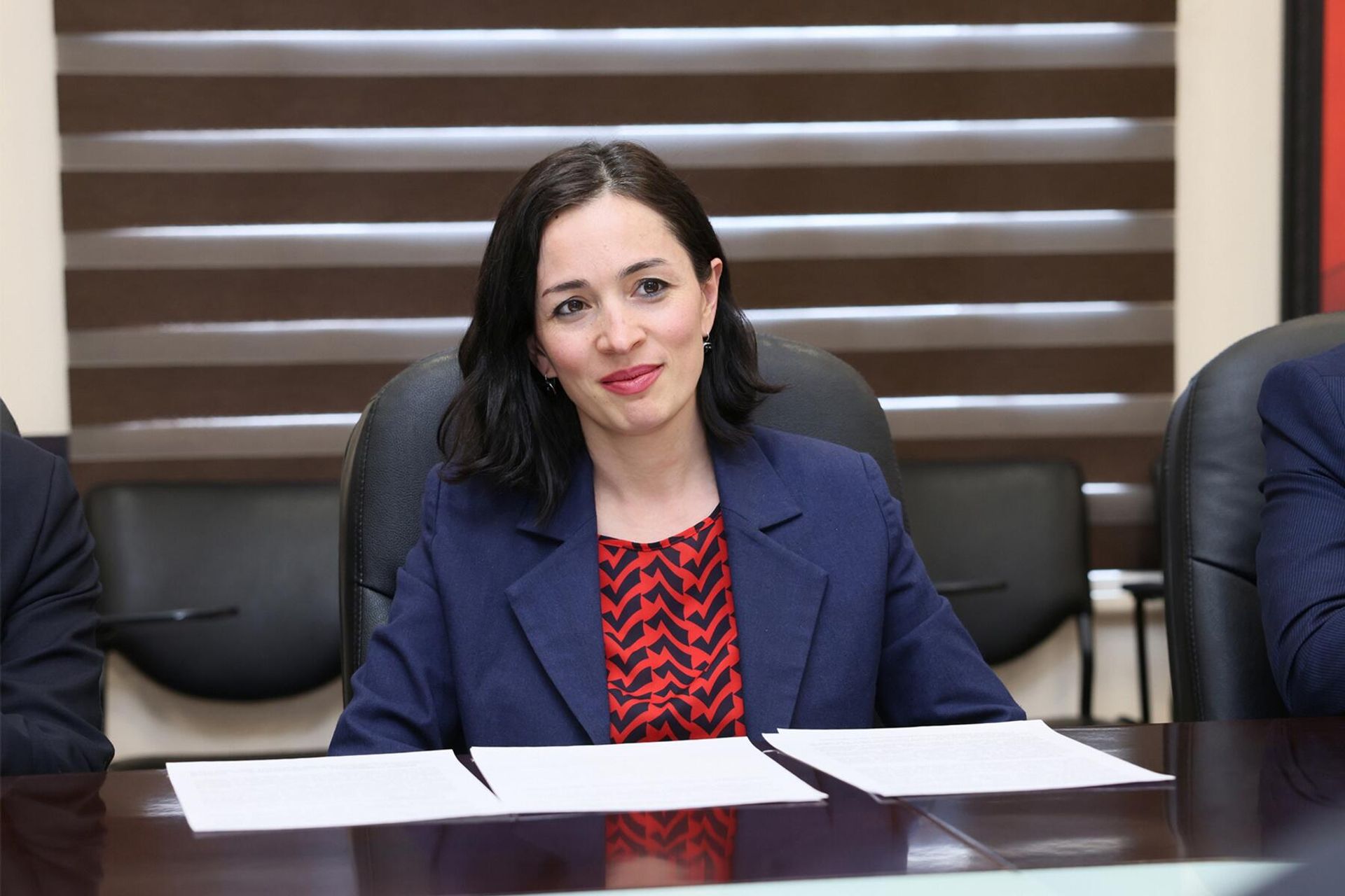 Министр ОНКС Жанна Андреасян приняла спецпредставителя Президента РФ по международному культурному сотрудничеству Михаила Швыдкого (7 апреля 2025). Еревaн - Sputnik Армения, 1920, 07.04.2025