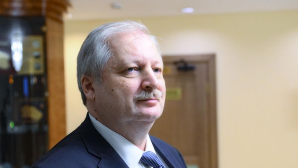 Директор департамента Северной Америки МИД РФ Александр Дарчиев в Совете Федерации РФ - Sputnik Армения