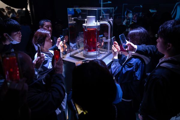Бьющееся "iPS-сердце", сделанное из iPS-клеток в павильоне PASONA NatureverseiPS - это тип плюрипотентных стволовых клеток, которые можно получить непосредственно из соматической клетки - Sputnik Армения