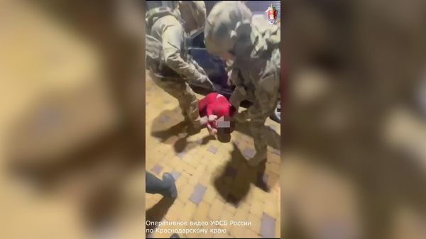 Задержаны 14 членов преступной группировки, которая с января 2024-го по апрель 2025 года легализовала 500 незаконных мигрантов - Sputnik Армения