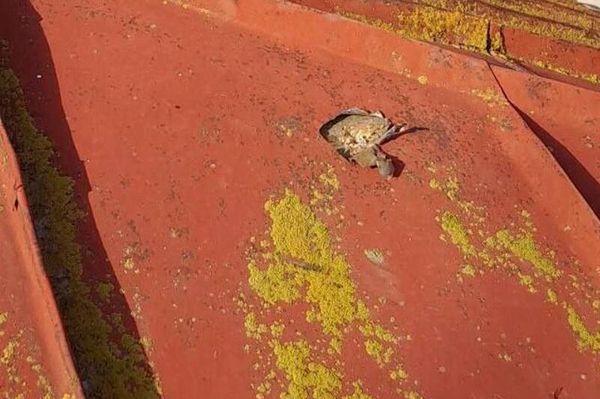 В результате обстрела жилого дома со стороны ВС Азербайджана повреждена крыша жилого дома в селе Хнацах (10 мая 2025). Сюник - Sputnik Армения