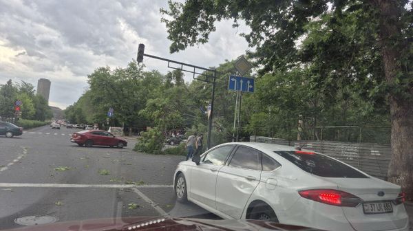 Поваленное от ветра дерево на перекрестке улиц Закяна-Хоренаци (11 мая 2025). Еревaн - Sputnik Армения