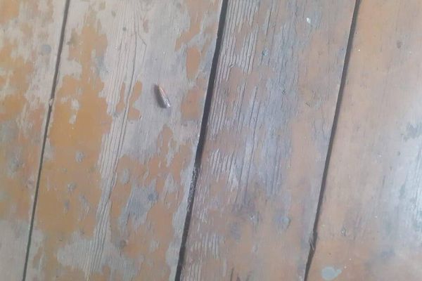Последствия обстрела азербайджанскими ВС в направлении населенного пункта Хознавар (29 мая 2025). Сюник - Sputnik Армения