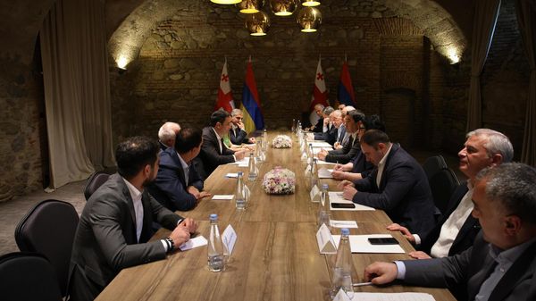 Ալեն Սիմոնյանն ու Շալվա Պապուաշվիլին - Sputnik Արմենիա