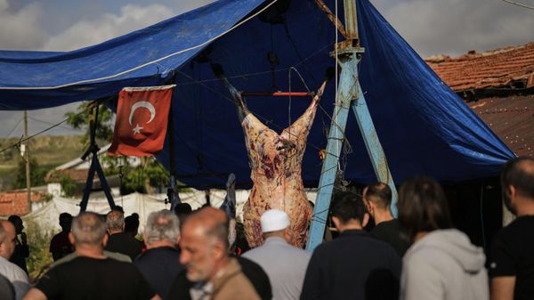 Мужчины разделывают мясо коров, забитых для жертвоприношения в первый день праздника Курбан-байрам (6 июня 2025). Стамбул - Sputnik Армения