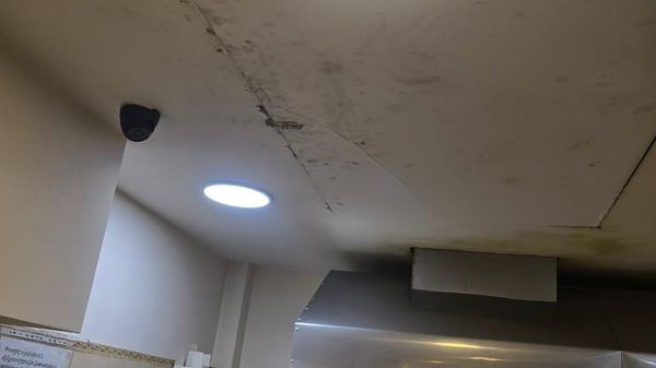 Обнаружено нарушение санитарных норм в одной из точек Ташир Пицца (18 июня 2025). Еревaн - Sputnik Армения