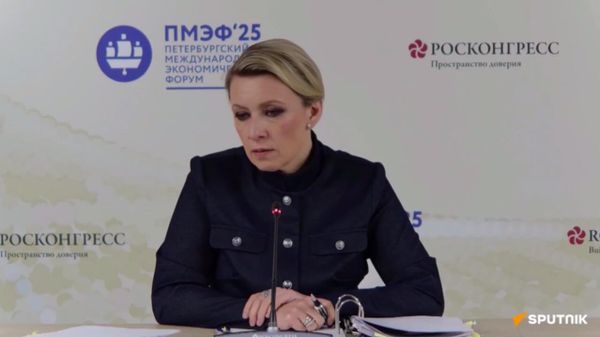 Захарова о бизнесмене Самвеле Карапетяне - Sputnik Արմենիա
