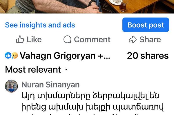 Նուրհան Սինանյանի մեկնաբանությունը - Sputnik Արմենիա