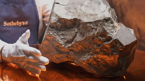 Марсианский метеорит весом 54,388 фунта (24,67 кг), который считается крупнейшим осколком Марса на Земле - Sputnik Армения