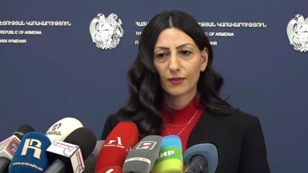Омбудсмен Анаит Манасян на брифинге (17 июля 2025). Еревaн - Sputnik Армения