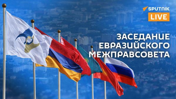 Заседание Евразийского межправительственного совета - Sputnik Армения