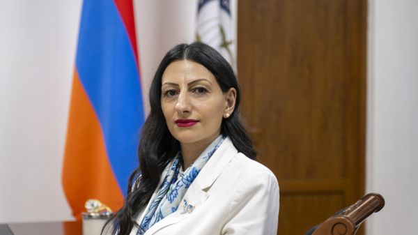 Защитник прав человека Анаит Манасян - Sputnik Армения