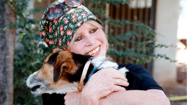 Брижит Бардо посещает свой приют для собак The Nice Dogs в Карнуле (7 октября 2001). Париж - Sputnik Армения