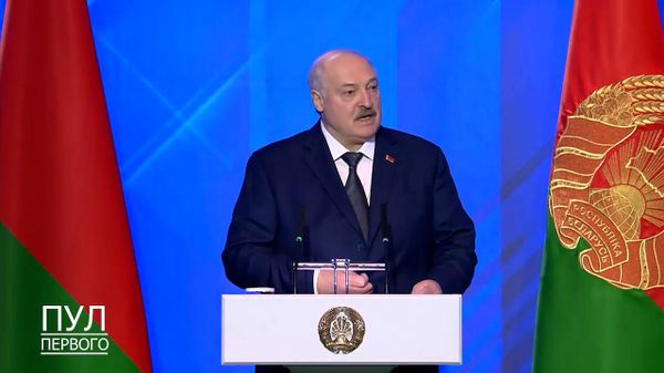 Лукашенко прокомментировал повод из-за которого Литва хочет закрыть границы с Белоруссией - Sputnik Армения
