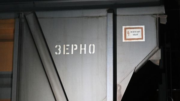 Ցորենով բեռնված վագոն - Sputnik Արմենիա