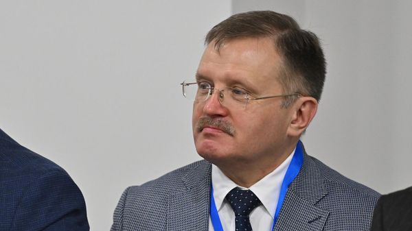 Вадим Козюлин во время международного круглого стола Евразийская интеграция и перспективы экономического развития Республики Армения (14 ноября 2025). Еревaн - Sputnik Армения