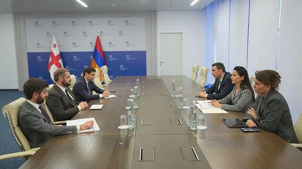 Հ էկոնոմիկայի նախարար Գևորգ Պապոյանի հանդիպումը Վրաստանի էկոնոմիկայի և կայուն զարգացման նախարար Մարիամ Կվրիվիշվիլիի հետ - Sputnik Արմենիա