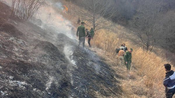 Лесной пожар в Тавушской области - Sputnik Армения