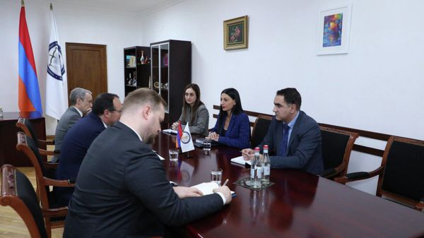 Անահիտ Մանասյանը հյուրընկալել է ԵԱՀԿ ԽՎ փոխնախագահ, ԵԱՀԿ ԽՎ Հարավային Կովկասի հարցերով հատուկ ներկայացուցիչ Լուիս Գրասայի գլխավորած պատվիրակությանը - Sputnik Արմենիա