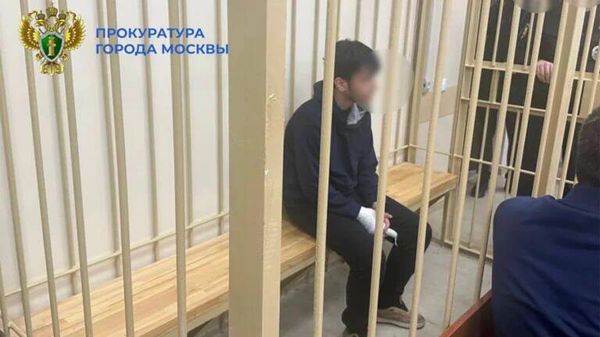 Ранившего охранника и двух полицейских в Москве подростка отправили под стражу - Sputnik Армения