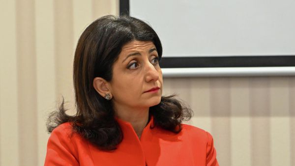 Анна Меликян на пресс-конференции по теме Вопрос пропавших без вести как нерешённая насущная проблема прав человека (10 декабря 2025). Еревaн - Sputnik Армения