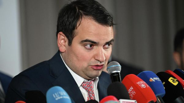 Նարեկ Կարապետյան - Sputnik Արմենիա