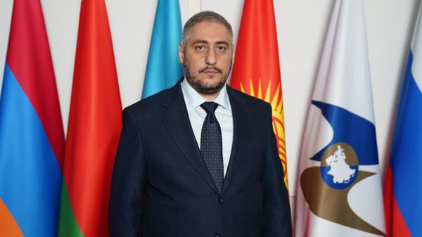 Заместитель директора Департамента антимонопольного регулирования ЕЭК Арташес Мелконян - Sputnik Армения