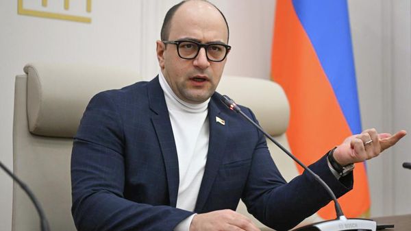 Депутат Айк Мамиджанян во время брифинга (22 января 2026). Еревaн - Sputnik Армения
