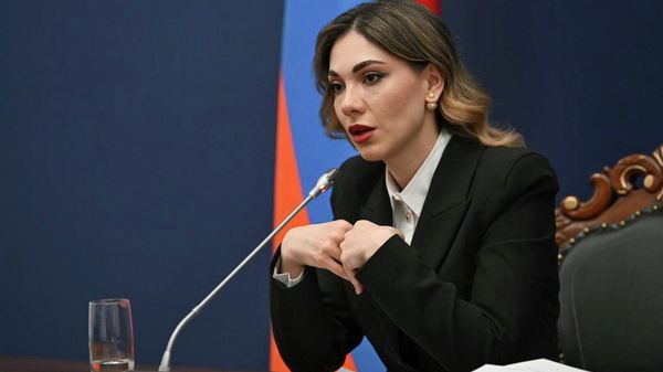 Пресс-конференция министра юстиции Србуи Галян (4 февраля 2026). Еревaн - Sputnik Армения