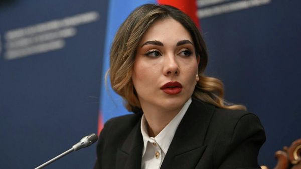 Пресс-конференция министра юстиции Србуи Галян (4 февраля 2026). Еревaн - Sputnik Армения