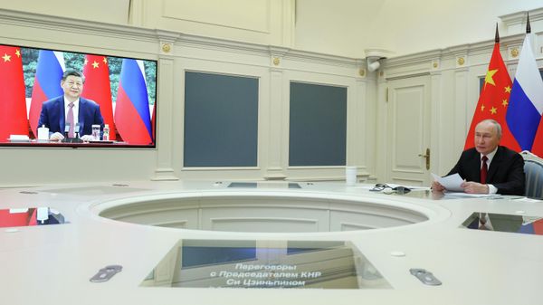 Տեսակոնֆերանսի ժամանակ - Sputnik Արմենիա