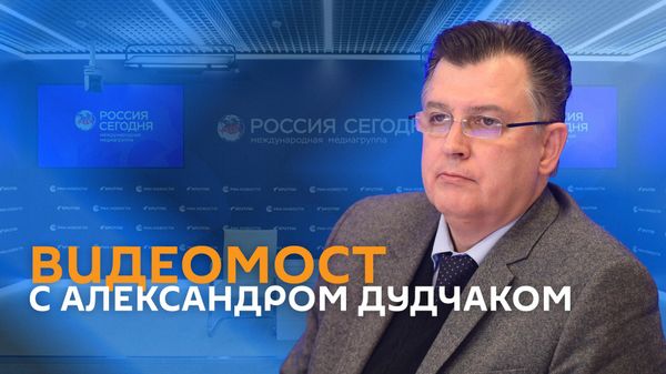 Видеомост с Александром Дудчаком - Sputnik Армения
