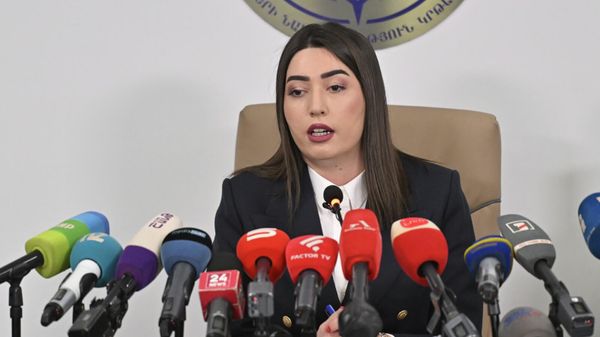 Министр внутренних дел Арпине Саркисян проводит пресс-конференцию (13 февраля 2026). Еревaн - Sputnik Армения