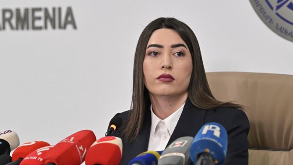 Министр внутренних дел Арпине Саркисян проводит пресс-конференцию (13 февраля 2026). Еревaн - Sputnik Армения
