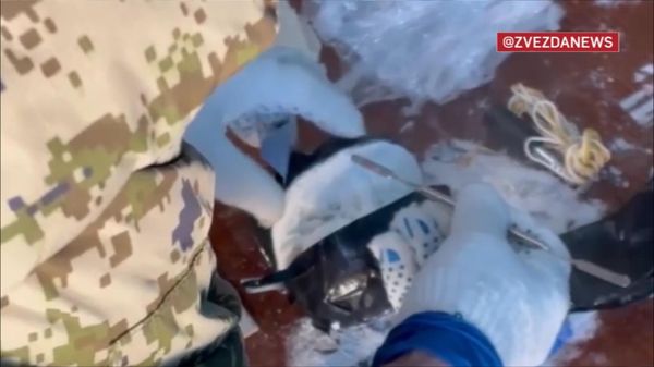 Украинский куратор взорвал своего диверсанта при попытке задержания в Екатеринбурге - Sputnik Армения