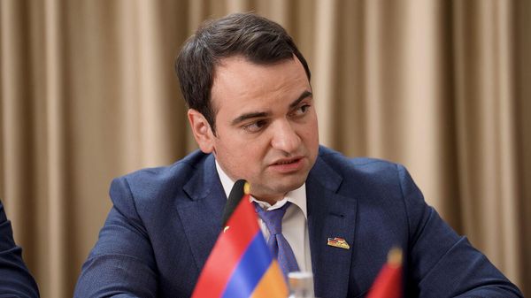 Նարեկ Կարապետյան - Sputnik Արմենիա