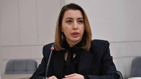Кристине Григорян на заседании Постоянной комиссии по обороне и безопасности (30 апреля 2026). Еревaн - Sputnik Армения