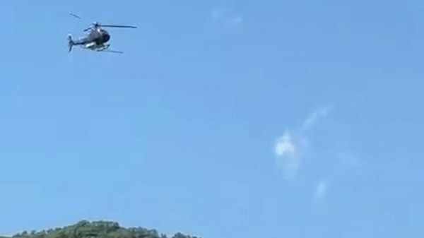 Специалисты ГНКО Армлес борются с вредителями и болезнями в лесных массивах - Sputnik Армения