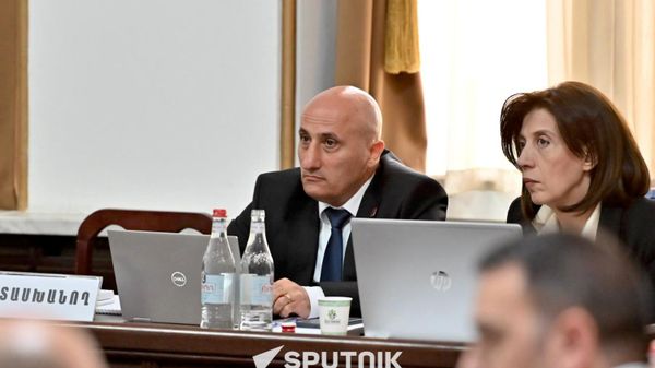 ԿԸՀ նախագահ Վահագն Հովակիմյանը ՍԴ-ում - Sputnik Արմենիա