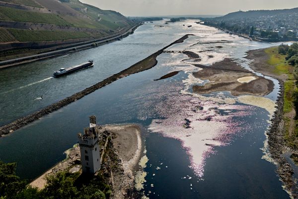 Часть реки Рейн пересохла в результате жаркой погоды в Бингене, Германия. - Sputnik Армения