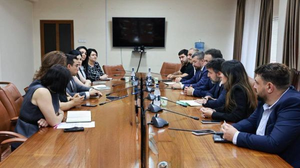  ՀՀ էկոնոմիկայի նախարարի տեղակալներ Նարեկ Հովակիմյանի և Լիլյա Սիրականյանի հանդիպումը «Wildberries» առևտրային հարթակի ներկայացուցիչների հետ - Sputnik Արմենիա