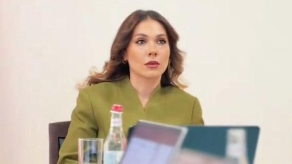 Министр Юстиции Србуи Галян во время обсуждения пакета законодательных инициатив, предусматривающих создание автономного органа по защите персональных данных (7 августа 2026). Еревaн - Sputnik Արմենիա