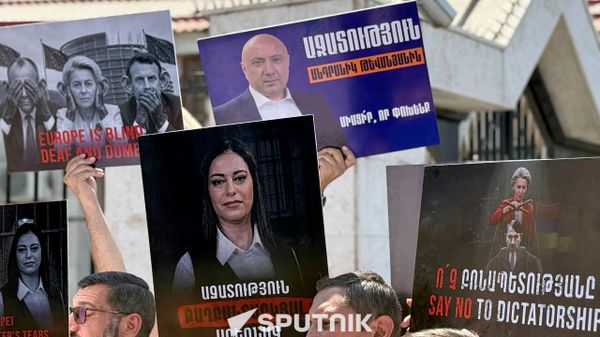 Բողոքի ակցիա՝ ի պաշտպանություն Անդրանիկ Թևանյանի ու Արեգնազ Մանուկյանի - Sputnik Արմենիա