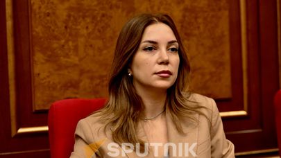 Анна Григорян на заседании НС (24 августа 2026). Ереван